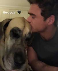 Image may contain: 1 person, dog, possible text that says 'Hector'