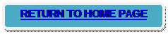 Rounded Rectangle: RETURN TO HOME PAGE